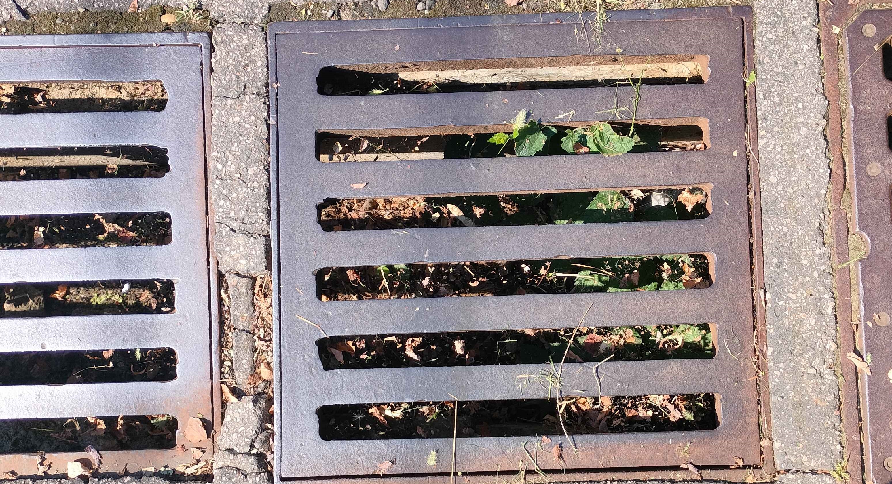 Sewer Opening
